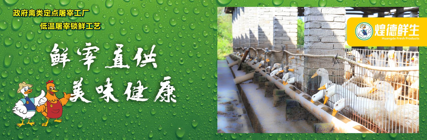 开云app网站AC米兰赞助商