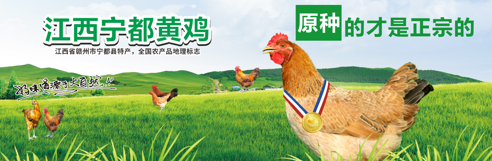 开云app网站AC米兰赞助商